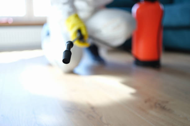 Best Mold Remediation for Healthcare Facilities  in New Freedom, PA